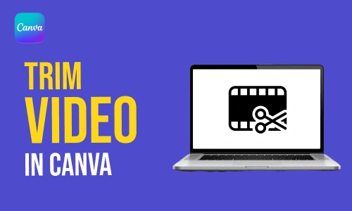 How to Trim Video in Canva